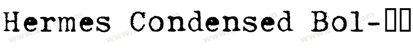 Hermes Condensed Bol字体转换